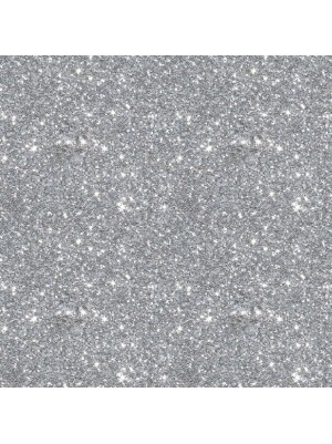 E.V.A. GLITTER PRATA - 5UN