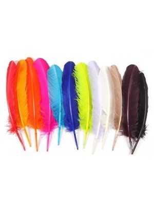 PENA COLORIDA COR BRILHOS 3GR (APROX.6UN.)