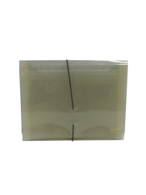 PASTA SANFONADA DUPLICATA - 12DIV - DAC