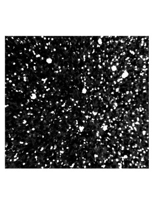 GLITTER PRETO - 3G
