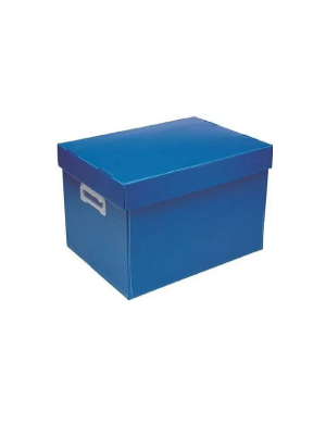 CAIXA ORGANIZADORA POLIONDA EXG 200X335X485 AZ