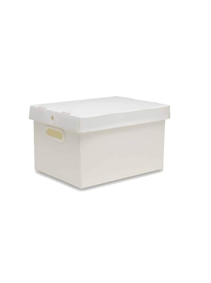 CAIXA ORGANIZADORA POLIONDA G 310X240X440 CR