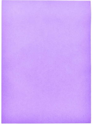 PAPEL CARTAO CARTAZ LILÁS