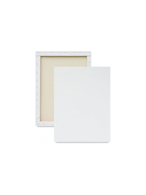 TELA PARA PINTURA 10X15